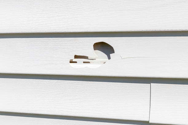 Best Siding Removal and Disposal  in Palmetto Estates, FL