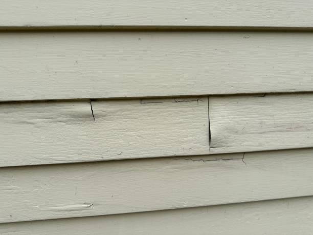 Affordable Siding Repair and Maintenance Services in Palmetto Estates, FL