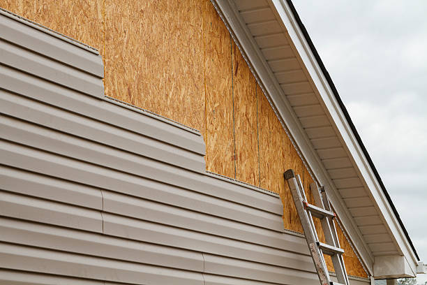 Best Custom Trim and Detailing for Siding  in Palmetto Estates, FL